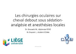 2019 : Sédation et anesthésie locale pour la chirurgie du cheval debout – Dr Julien DUPONT