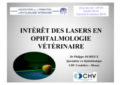 Intéret des lasers en ophtalmologie vétérinaire