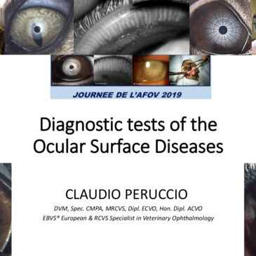 2019 : Tests de diagnostic des affections de la surface oculaire – Dr Claudio PERUCCIO