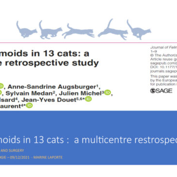 Journal-Club 5: Ocular dermoïds in 13 cats- Marine Laporte