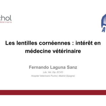 L’intérêt des lentilles cornéennes en médecine vétérinaire par le Dr Fernando Laguna Sanz