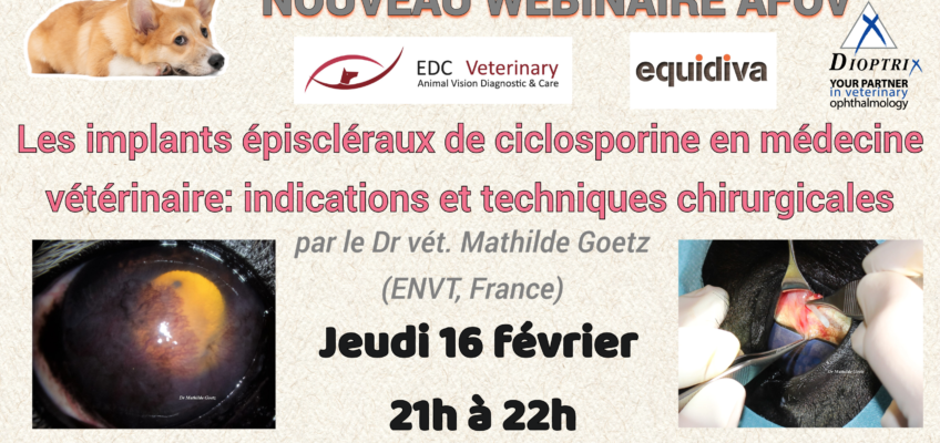 Flyer webinaire février 2023