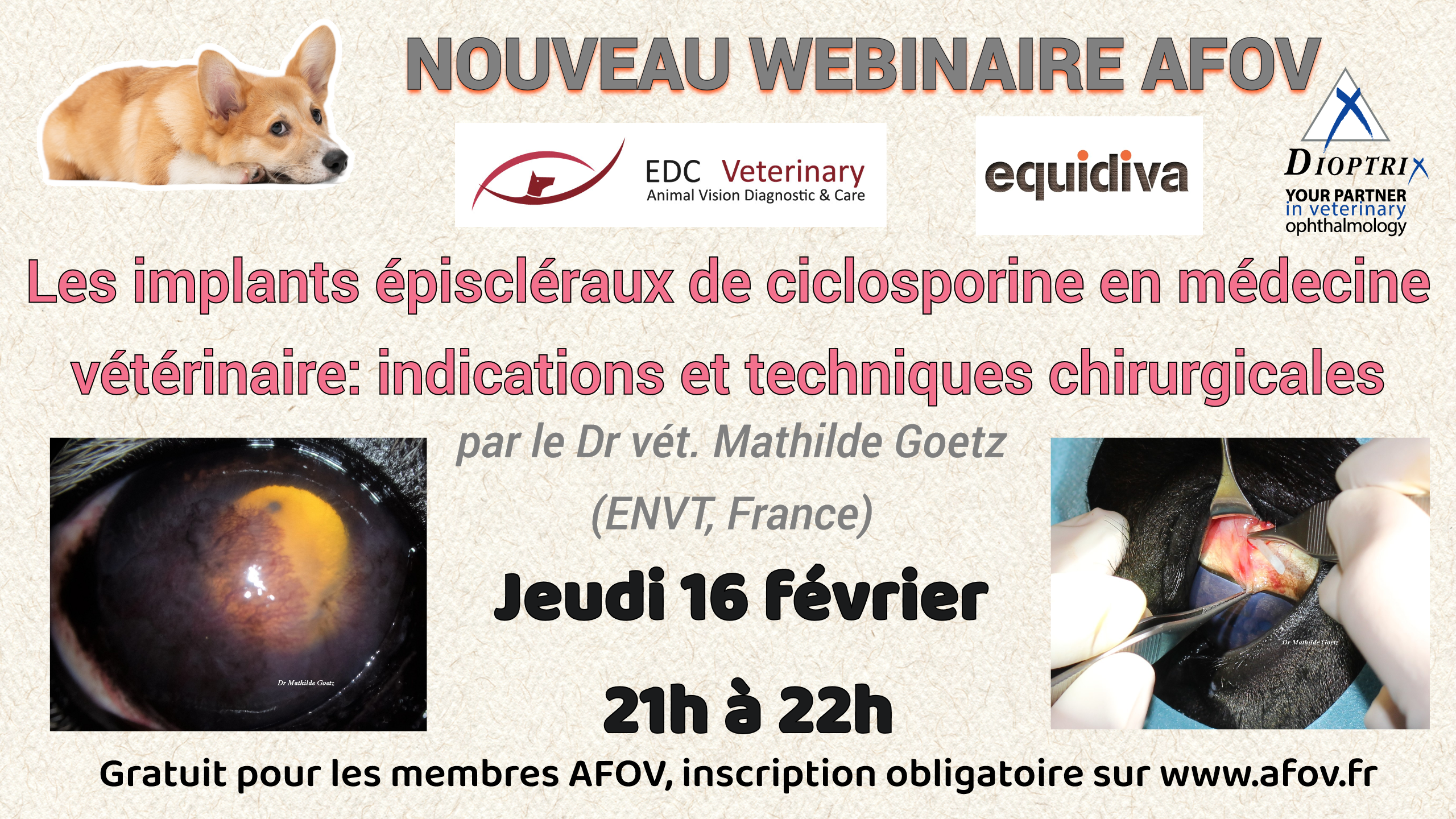 Flyer webinaire février 2023