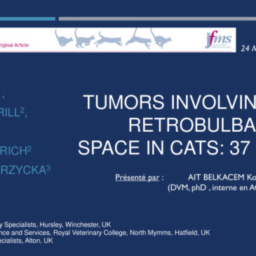 Tumors involving the retrobulbar space in cats : 37 cases – Dr Koceila AIT BELKACEM
