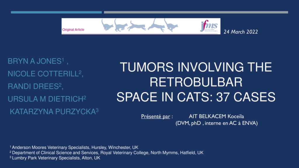 Tumors involving the retrobulbar space in cats : 37 cases – Dr Koceila AIT BELKACEM
