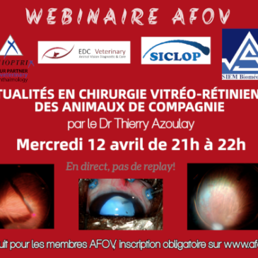 Actualités en chirurgie vitreo-rétinienne des animaux de compagnie – Dr Thierry AZOULAY