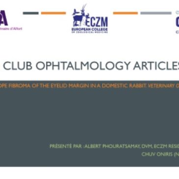 Shope fibroma of the eyelid margin in a domestic rabbit – Dr Albert PHOURATSAMAY