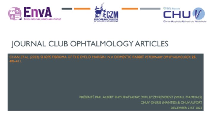 Shope fibroma of the eyelid margin in a domestic rabbit – Dr Albert PHOURATSAMAY