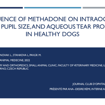 Influence of methadone on intraocular pressure, pupil size, and aqueous tear production in healthy dogs – Dr Rémi ANA–DESIRE