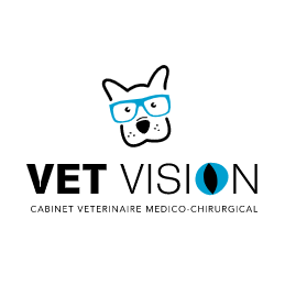 Offre d’emploi : VET Vision – Lambersart