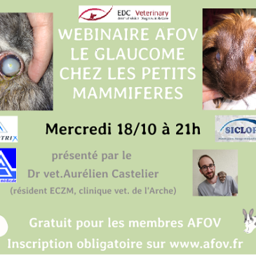 Glaucome chez les petits mammifères – Dr Aurélien CASTELLIER