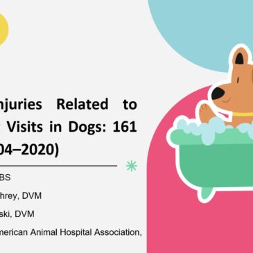 Ocular injuries related to grooming visits in dogs: 161 Cases (2004–2020) – Dr Victor EYRAL