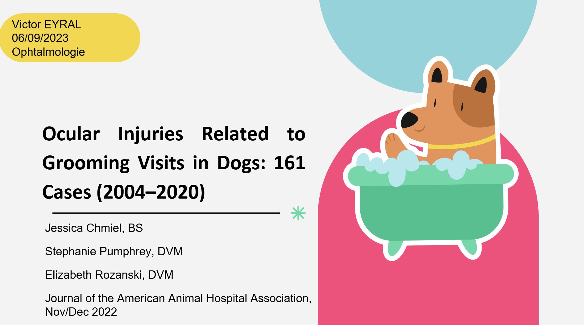 Ocular injuries related to grooming visits in dogs: 161 Cases (2004–2020) – Dr Victor EYRAL