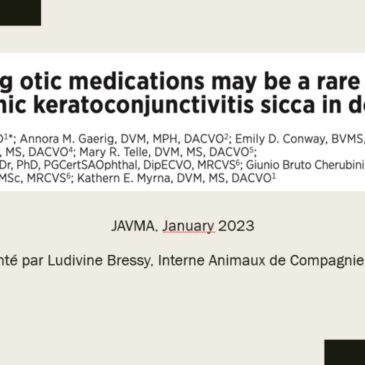 Long-lasting otic medication may be a rare cause of neurogenic keratoconjunctivitis sicca in dogs – Dr Ludivine BRESSY