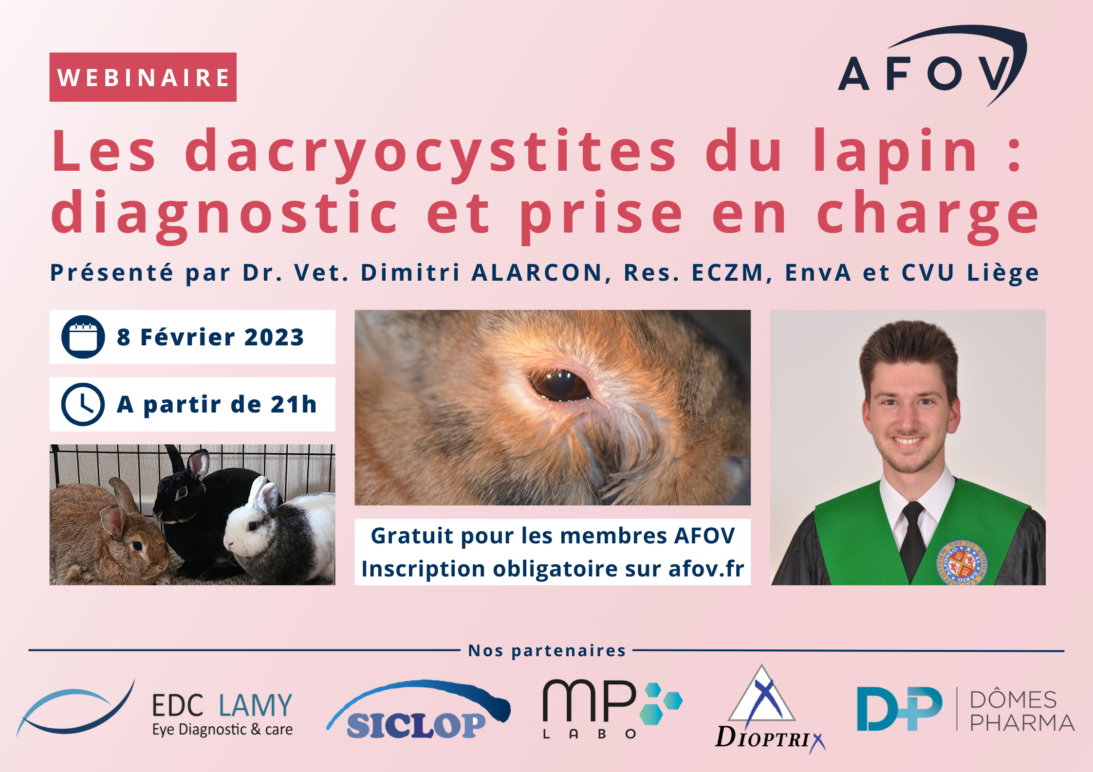 La dacryocystite chez le lapin : diagnostic et traitement – Dr Dimitri ALARCON