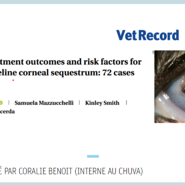 Long term treatment outcomes and risk factors for recurrence in feline corneal sequestrum: 72 cases (2009-2017) – Dr Coralie BENOIT