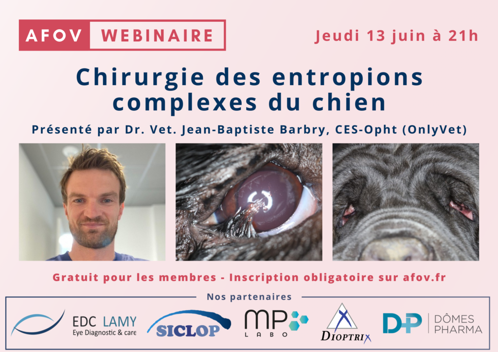 Les entropions complexes du chien – Dr Jean-Baptiste BARBRY