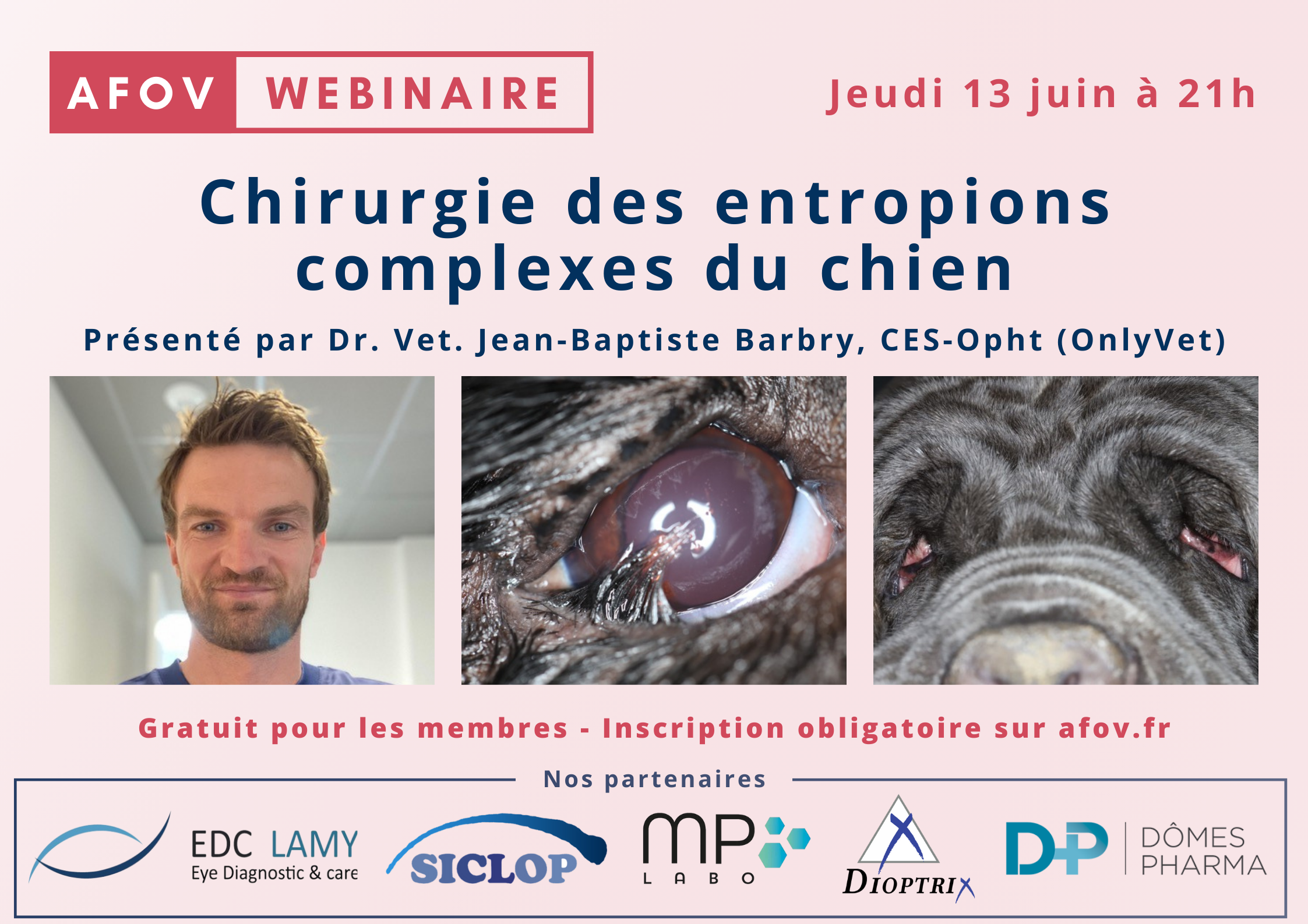 La chirurgie des entropions complexes chez le chien – Dr Jean Baptiste Barbry CES ophtalmologie