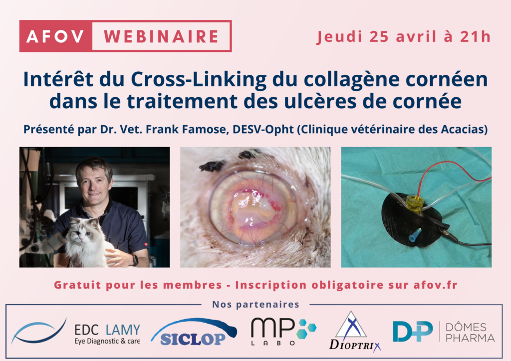 L’intérêt du cross-linking du collagène cornéen pour le traitement des ulcères  – Dr Franck FAMOSE