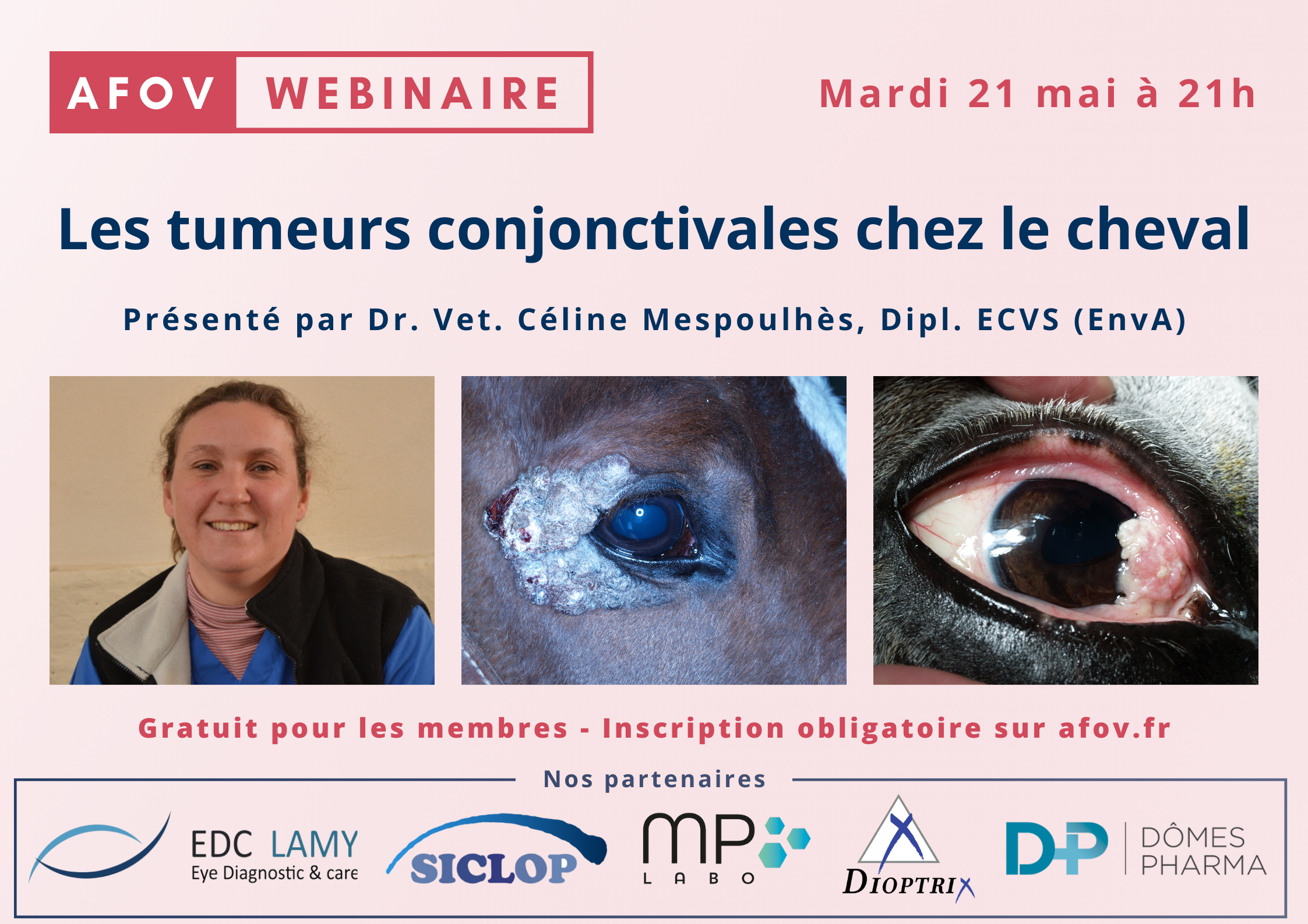 Les tumeurs conjonctivales chez le cheval – Dr Celine Mespoulhès dipl ECVS