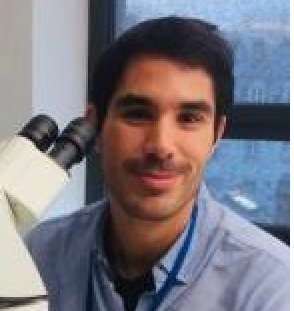 Dr Edouard REYES-GOMEZ