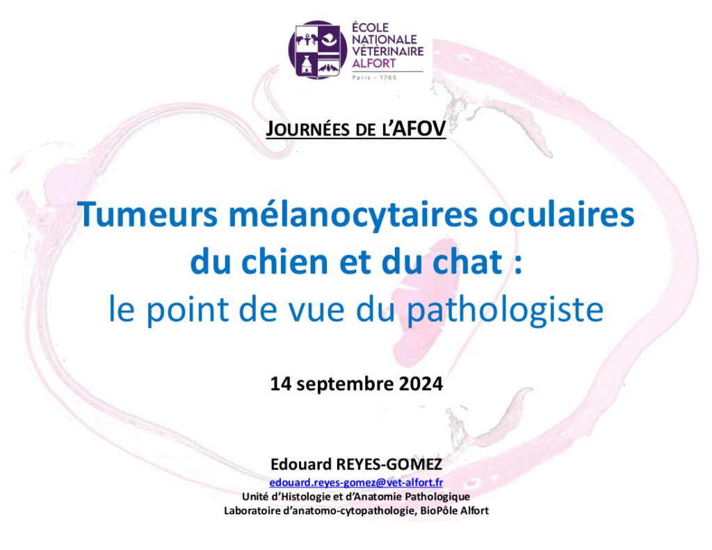 Les tumeurs mélanocytaires de l’oeil du chien et du chat : le point de vue de l’anatomo-pathologiste – Dr Edouard REYES-GOMEZ