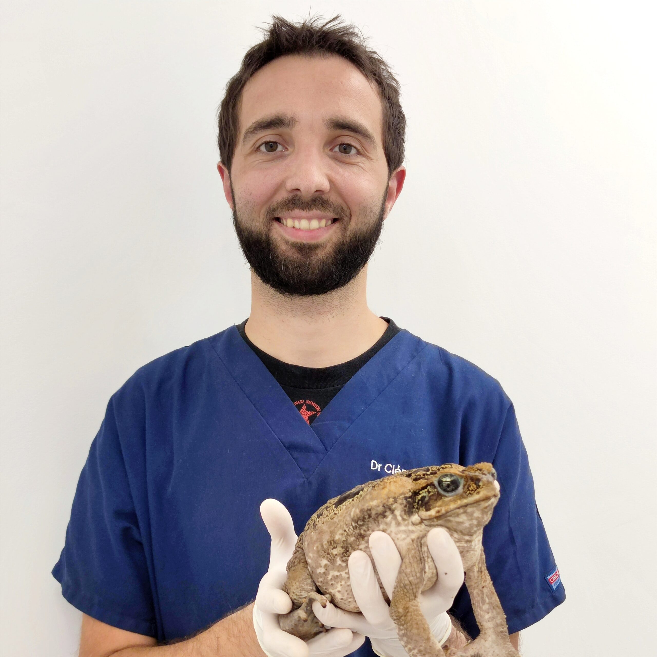 Dr Clément PAILLUSSEAU
